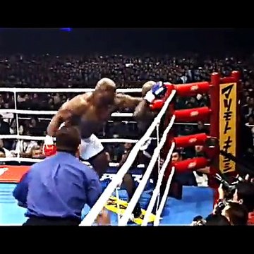 Incredible Fight Bob Sapp vs Ernesto Hoost