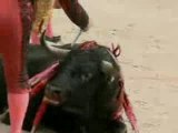 Bullfighting in France