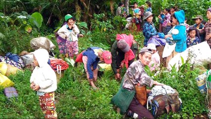 Myanmar violence: Thousands flee renewed fighting in Kachin state