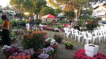 Έκθεση ανθοκομίας στον Σταυρό Λαμίας