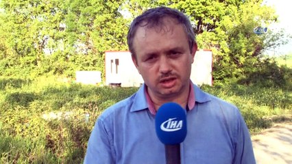 Kilosu 4 bin liradan satılan arı sütünün hasadı başladı