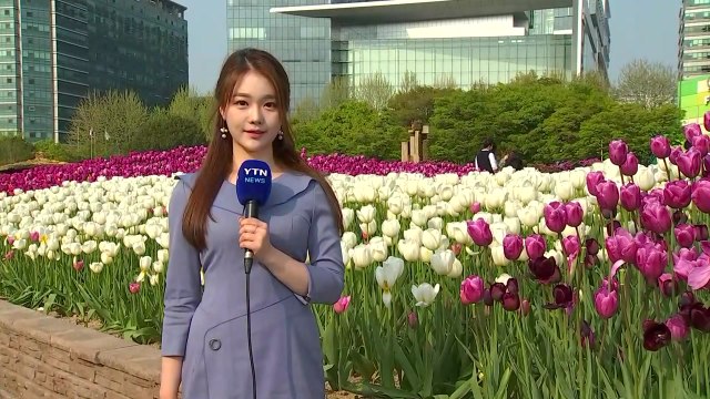 [날씨] 내일 구름 많고 초여름 더위...오전 미세먼지↑ / YTN