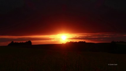 time lapse coucher soleil dore