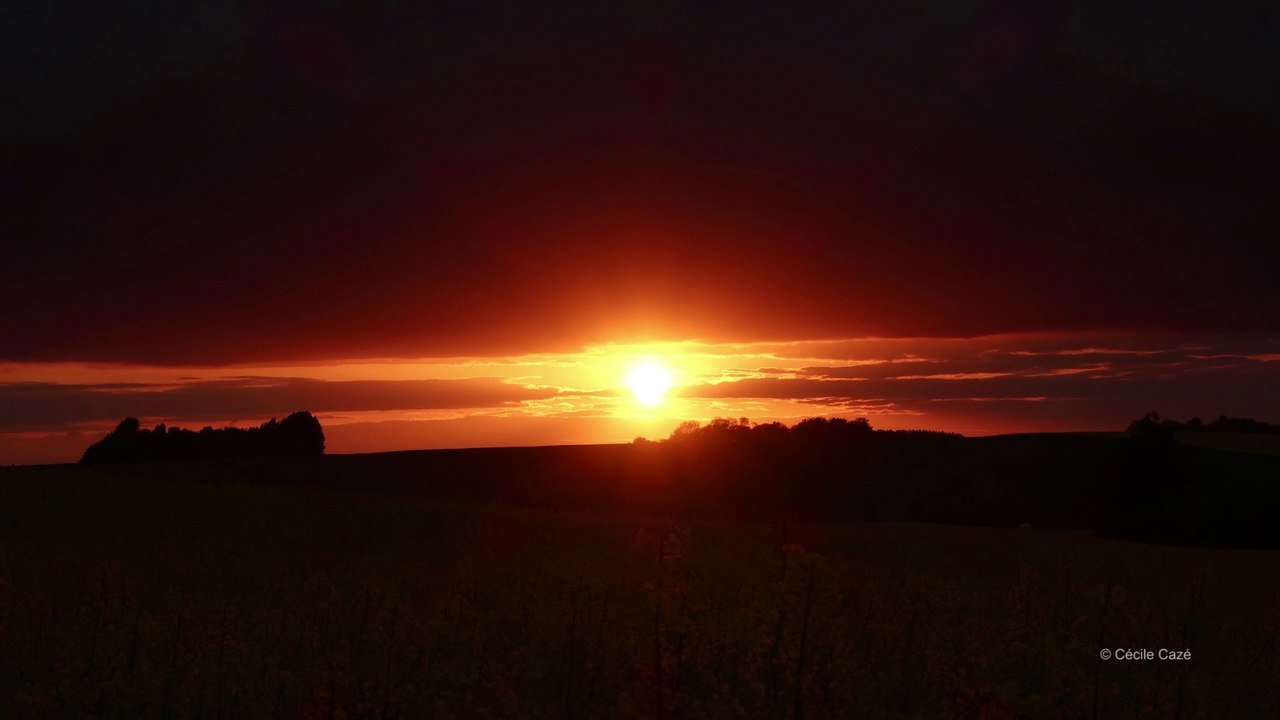 time lapse coucher soleil dore