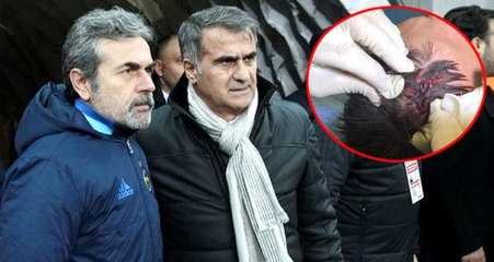 Aykut Kocaman: Kafa Yarılması Skrtel'deki Gibi Olur