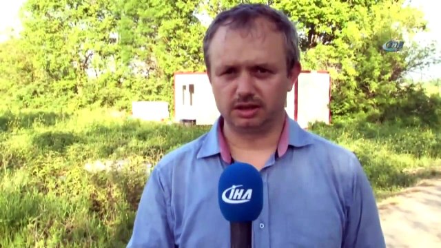 Kilosu 4 Bin Liradan Satılan Arı Sütünün Hasadı Başladı