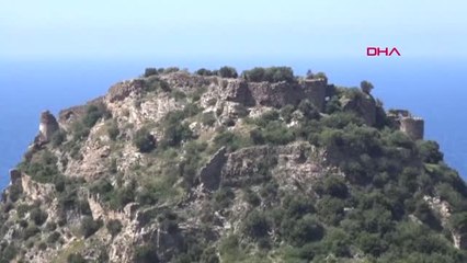 Antalya-Turistler, Tarlada Çilek Yiyip, Dalından Dut Topluyor-Hd