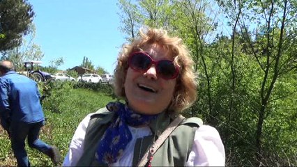 Bafra’da Uçurtma Şenliğini düzenlendi