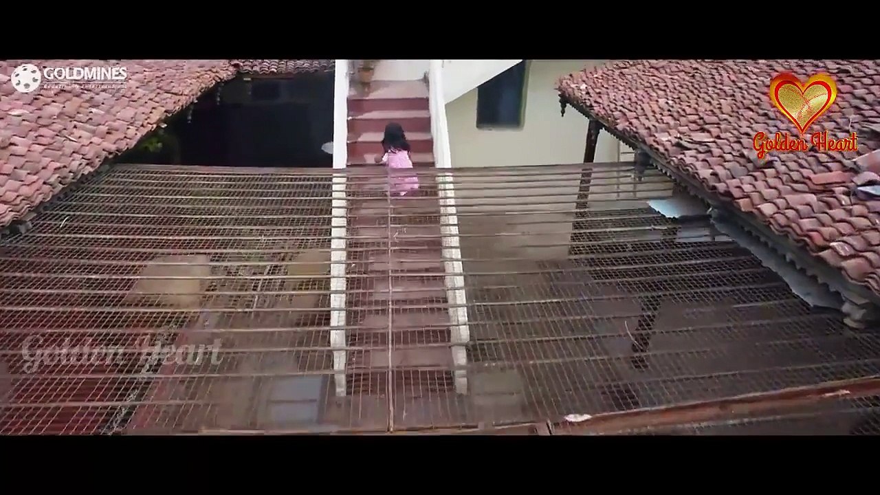 Kholi De Kholi De Dil Sutter ll Odia Song ll Whatsapp Status Video ll by Golden Heart