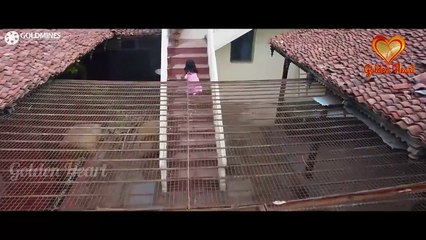 Kholi De Kholi De Dil Sutter ll Odia Song ll Whatsapp Status Video ll by Golden Heart