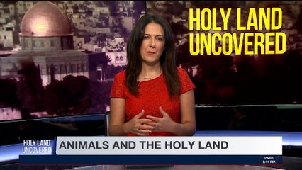 HOLY LAND UNCOVERED | Animals in the Bible | Sunday, April 29th 2018