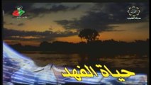 مسلسل الطير والعاصفة  1997 ح3 بطولة حياة الفهد غانم الصالح داوود حسين