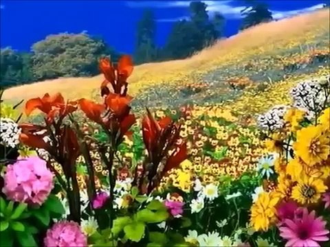 Yalnış Birini Sevmişim.. Çok Güzel