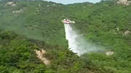 안양 삼성산 불...1시간 40분 만에 진화 / YTN