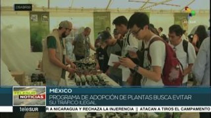 Colombia: Fiscalía no investiga a Iván Márquez por narcotráfico