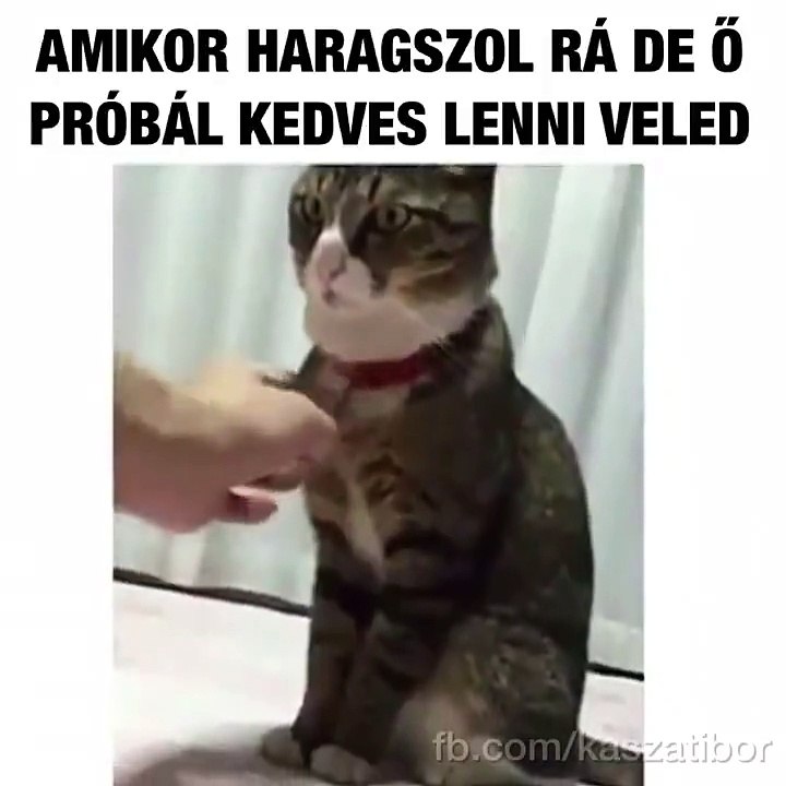 Ismerős?