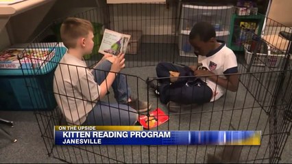 Wisconsin Students Read to Shelter Kittens to Gain Confidence