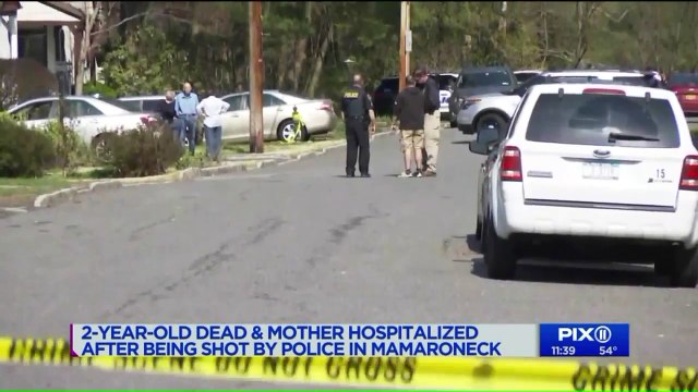Two-Year-Old Dead; Knife-Wielding Mother Shot by Police