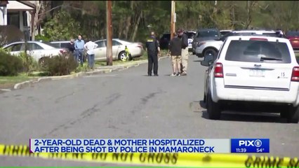 Two-Year-Old Dead; Knife-Wielding Mother Shot by Police