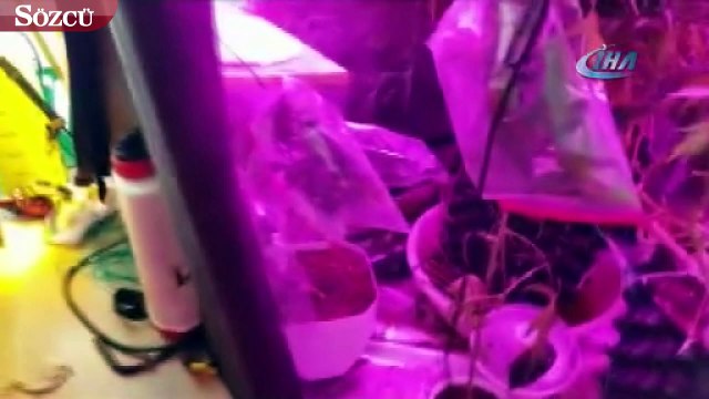 Tuzla’da uyuşturucu ticareti yapan acil doktoru ve teknisyeni yakalandı