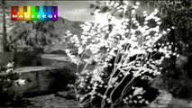 HD - Teri Payal Ki Jhankar - Mala & Ahmed Rushdi - Film Sangdil