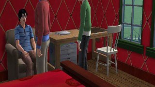 Harry Potter and the Order of Phoenix Chapter 9 The Sims 2