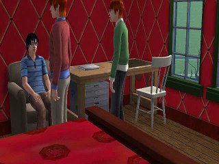 Harry Potter and the Order of Phoenix Chapter 9 The Sims 2