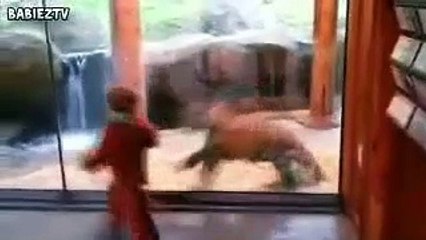 Kid Who Mimic This Animal in The Zoo Had an Amazing Time! Watch!!!