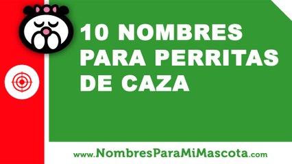 Tải video: 10 nombres para perritas de caza - los mejores nombres de mascota - www.nombresparamimascota.com