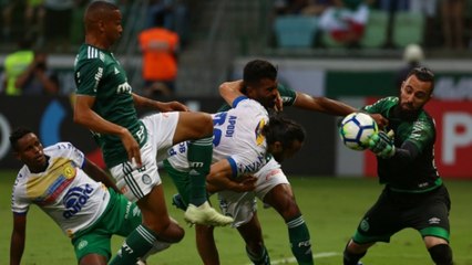 Tải video: Veja os melhores lances do empate entre Palmeiras e Chapecoense no Allianz