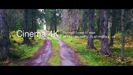 Cinema 4K - 200Mbps 2k (1440p) - 24 fps  - In the forest (1)