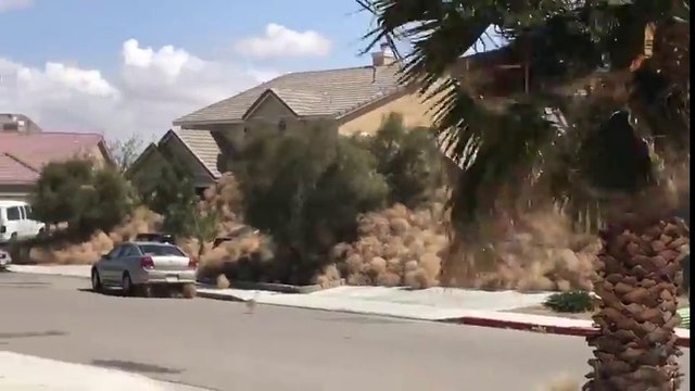Des maisons recouvertes de boules de pailles volant dans le vent !