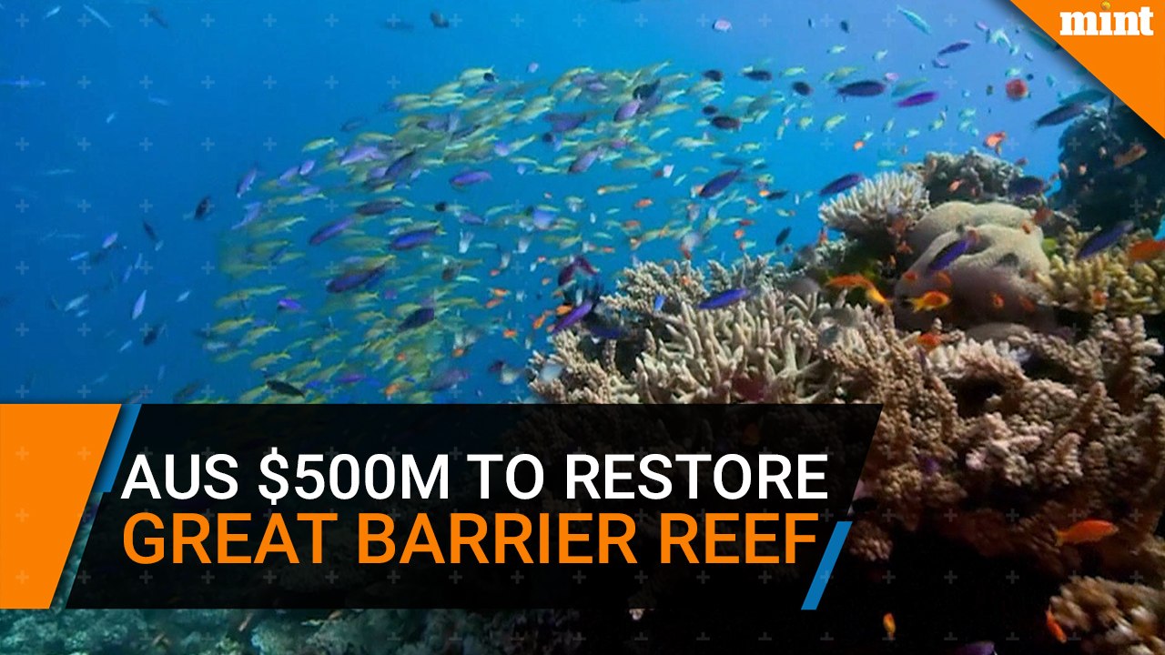 Australia pledges half a billion to restore Great Barrier Reef