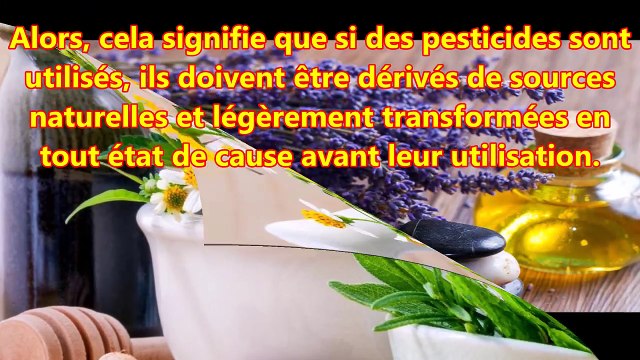 Astuces de préparation de pesticides 100% naturels pour des produits organiques