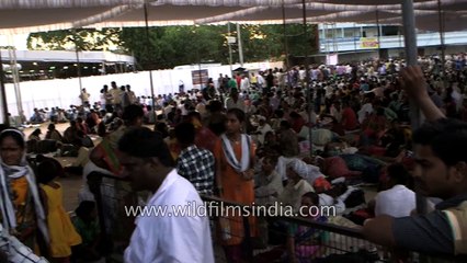 Food service arranges for people who come for the fish medicine,  Hyderabad