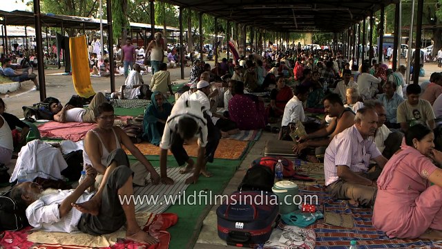 Crowd gather at Nampally Exhibition Ground for the annual Bathini Fish medicine