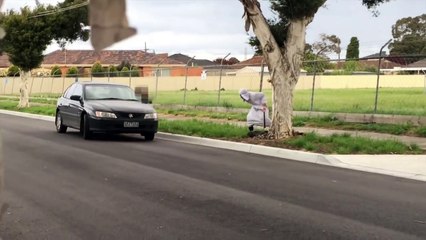 PUBLIC BOMB, DYNAMITE & EXECUTION PRANK