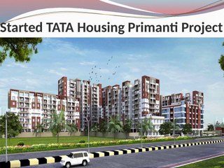 Buy Tata Primanti in Sector 72 Gurgaon