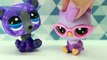 LPS - 10 TYPES OF CRUSHES!