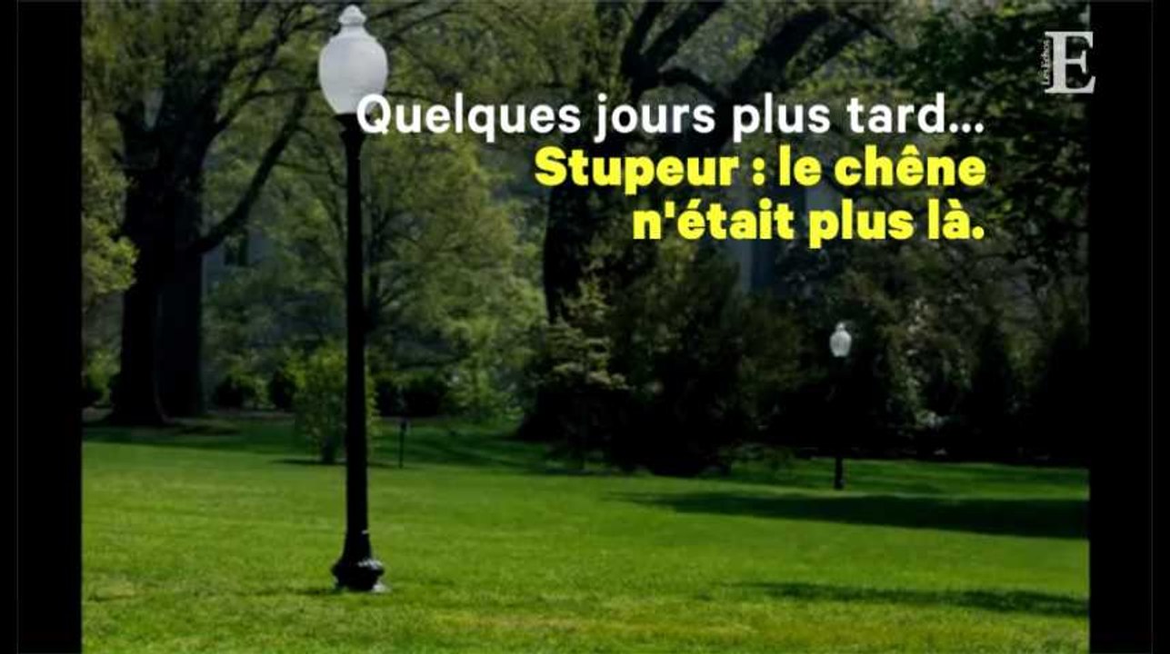 Mais où est passé l'arbre planté par Trump et Macron ?