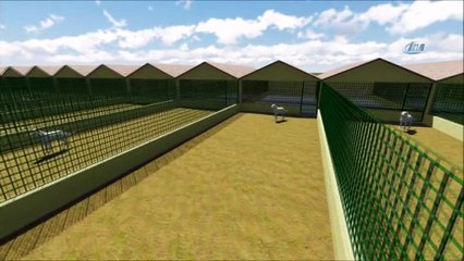 Amerika'nın üstün ırk seçtiği 'Akbaşlar' Türkiye'de hak ettiği değeri artık bulacak