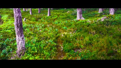 Samsung Galaxy S7 EDGE - Cinema 4K (1)