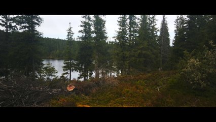 Samsung Galaxy S7 EDGE - Cinema 4K (4)