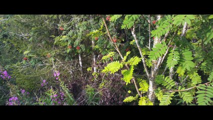 Samsung Galaxy S7 EDGE - Cinema 4K (5)