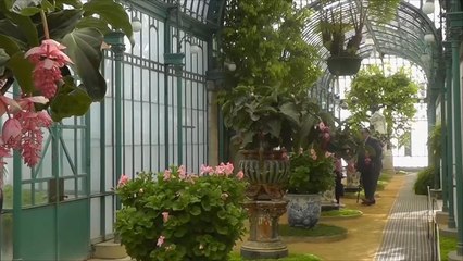 هذا الصباح- محمية العائلة المالكة ببلجيكا تفتح للزوار