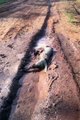 Ce chien adore la boue... ça fait le poil doux
