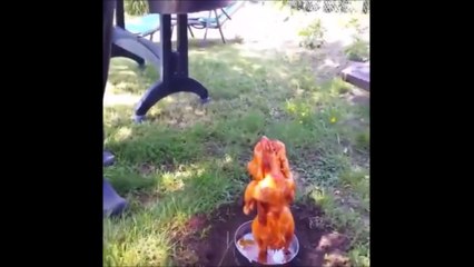 Une technique insolite pour cuire un poulet.. Beaucoup trop efficace !