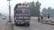 Overloaded Bihar roadways bus: India