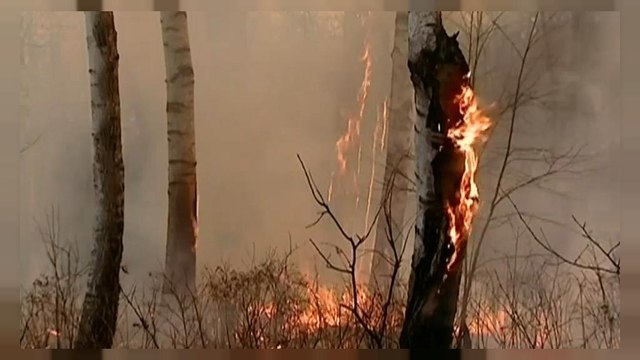 В России не стихают лесные пожары