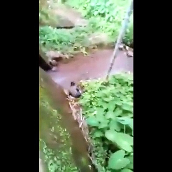 When helping someone goes wrong